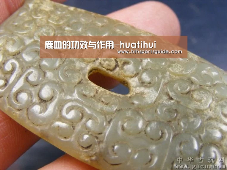 鹿血的功效与作用-huatihui(图2) 华体会官网首页