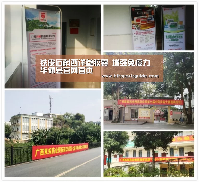 铁皮石斛西洋参胶囊 增强免疫力_华体会官网首页(图1) 华体会官网首页